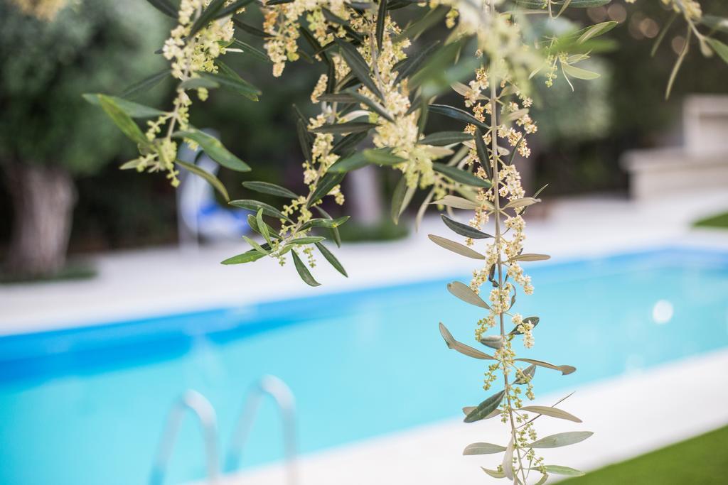 Corina Suites & Apartments Limisso Esterno foto